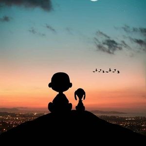 Meet your Posher, Sandy